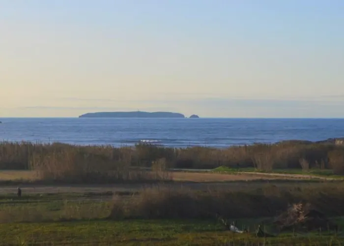 Bed & Breakfast Surf House Baleal